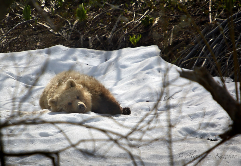 Kamchatka_078.jpg