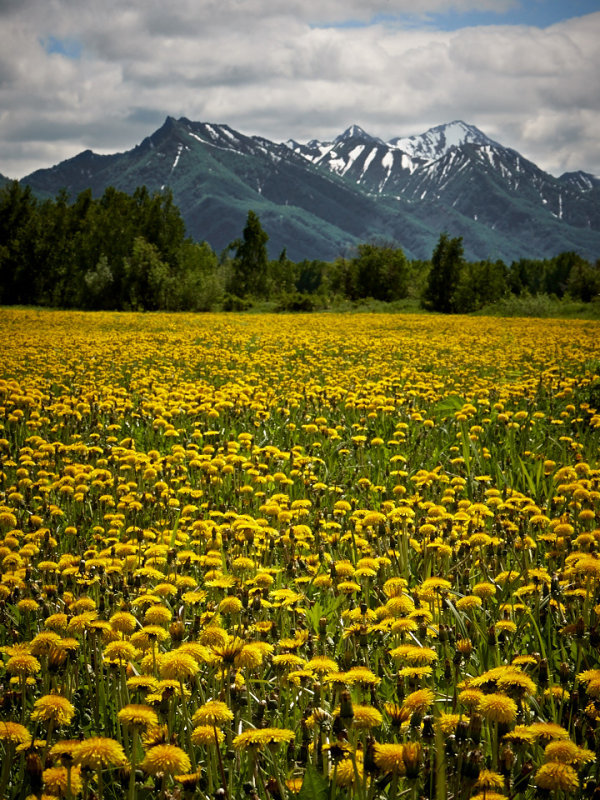 Kamchatka_121.jpg