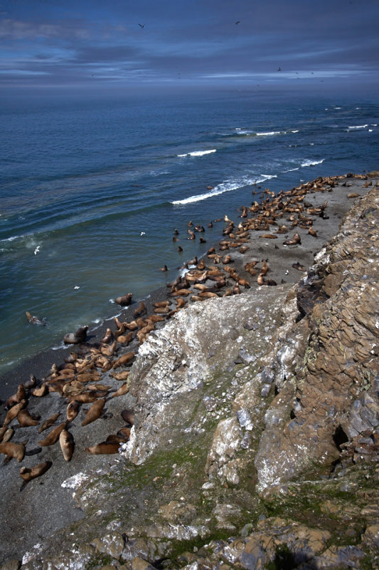 Okh_sea_181.jpg