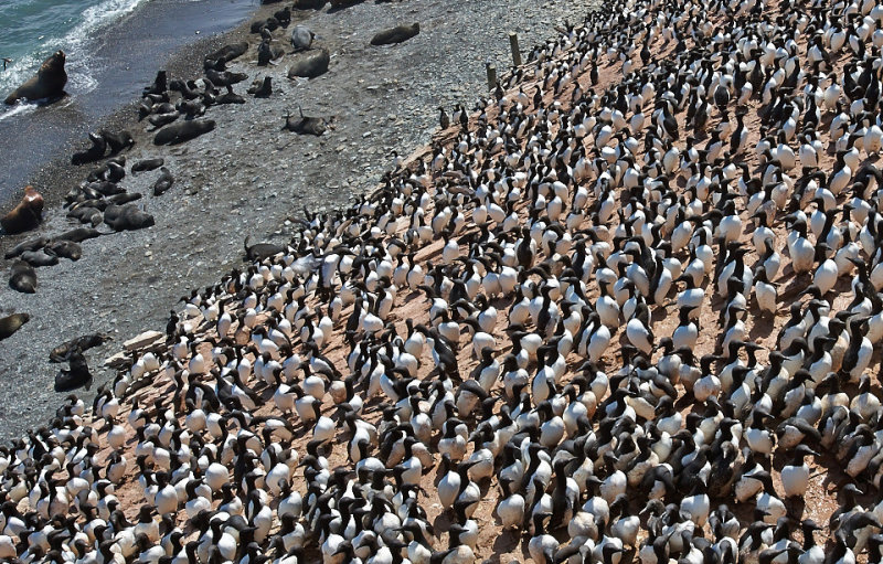 Okh_sea_196.jpg