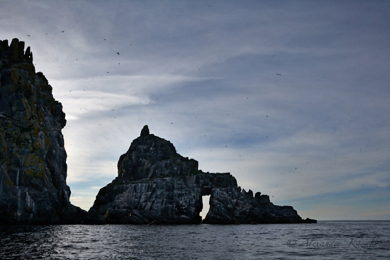 Okh_sea_229.jpg