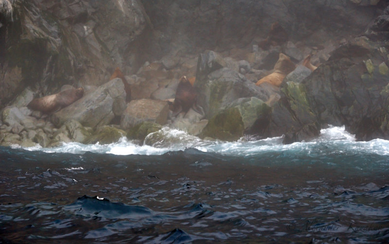 Okh_sea_249.jpg