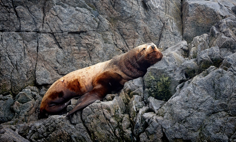 Okh_sea_250.jpg