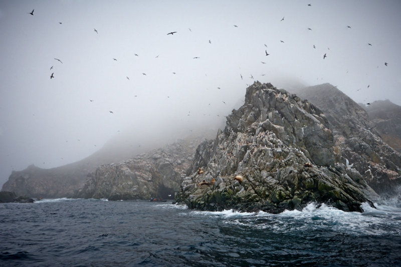 Okh_sea_259.jpg