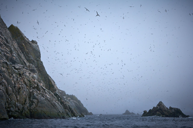 Okh_sea_261.jpg