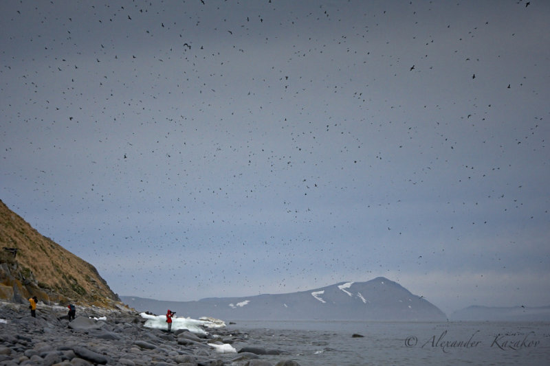 Okh_sea_351.jpg