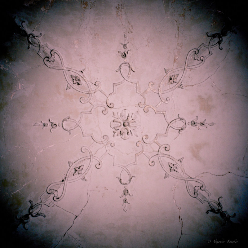 Fragment of gallerys celling. Festetics Castle.