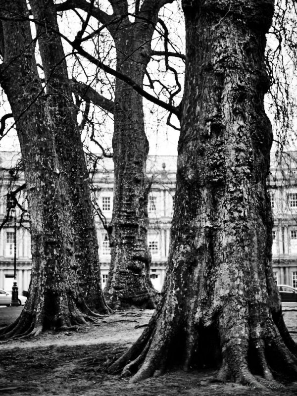 Three giants