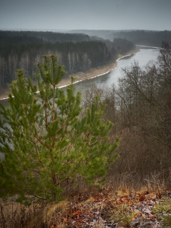 LTU-04-01-15-396.jpg