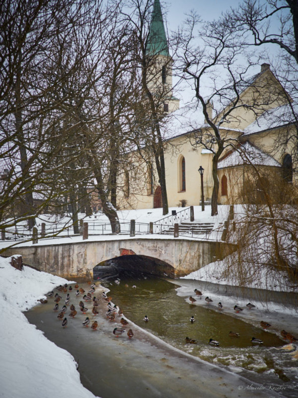 LTU-08-01-15-028.jpg