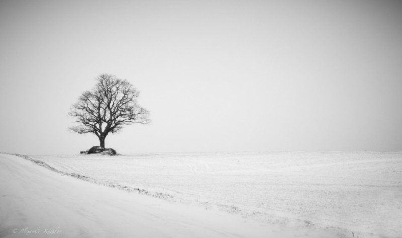 Winter. Lonely.