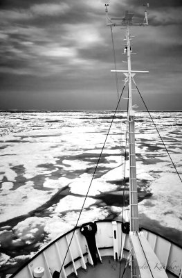 Okh_sea_169.jpg