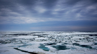 Okh_sea_170.jpg