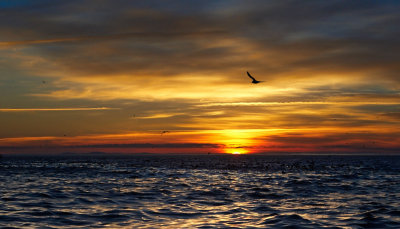 Okh_sea_176.jpg
