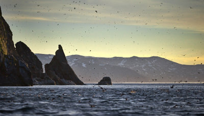 Okh_sea_233.jpg