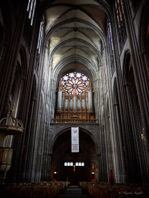 Cathedral of Our Lady of the Assumption. Organ.