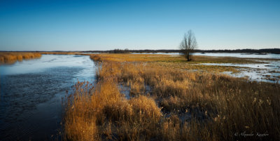 Boundless expanse