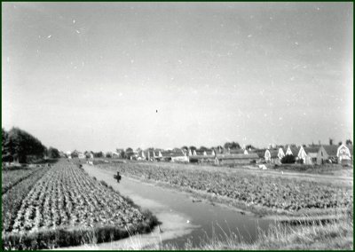DG 2300.jpg
