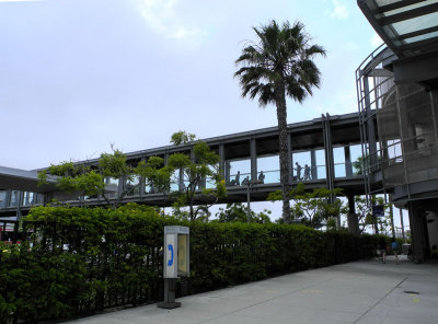 skywalk-at-airport