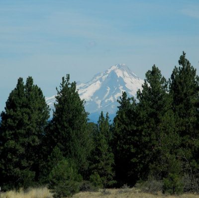 Mt-Hood.