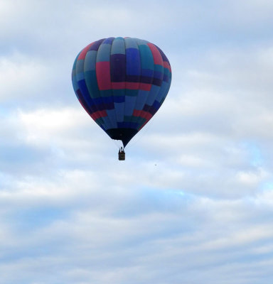 Tucson-balloon run away