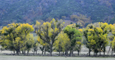 Mount Palomar, Cafifornia