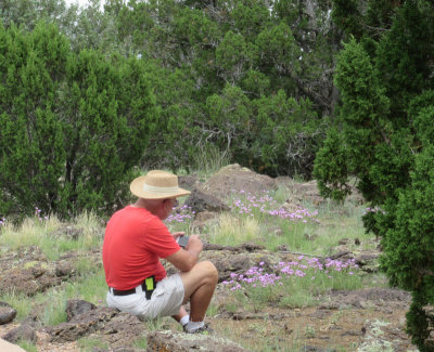 Pintail Lake and viewing station