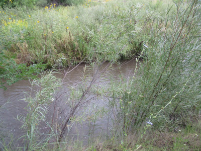 Becker Lake and Wildlife Area Wetlands