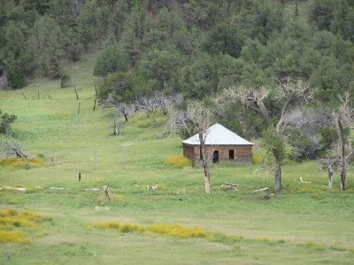 South Fork of the Little Colorado