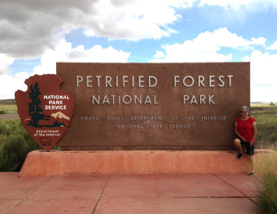Petrified-Forest-