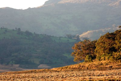 Dinsho Ethiopia Nov 2007. Photo Stefan  Lithner