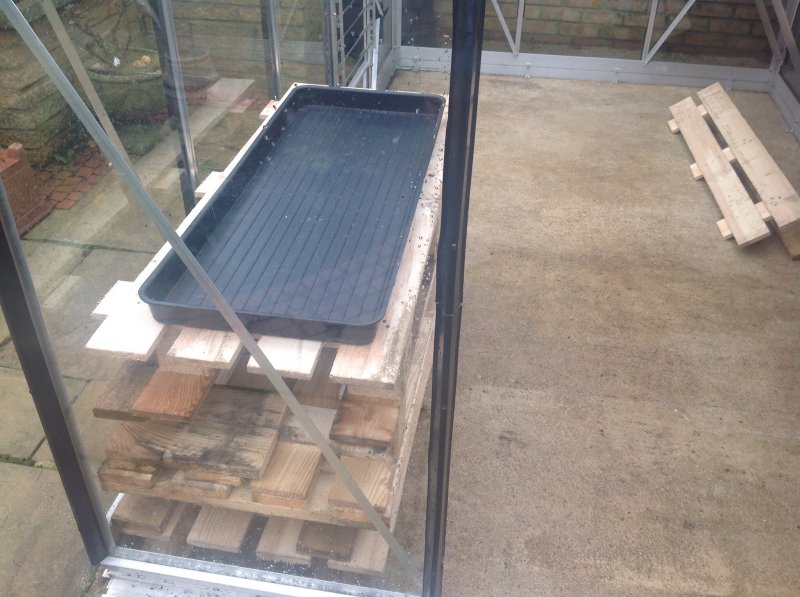 New greenhouse shelves going in