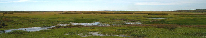 Adelaide River floodplain