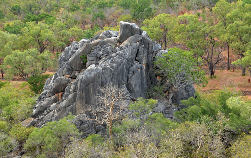limestone outcrop