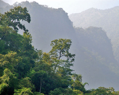 Doi Chiang Dao