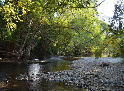 Woobadda Creek