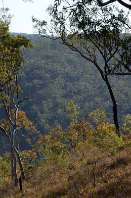 view from Mt Misery ridge