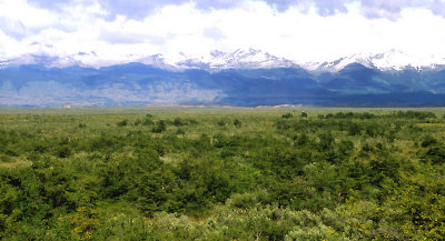Chilean Patagonia forest-steppe transition