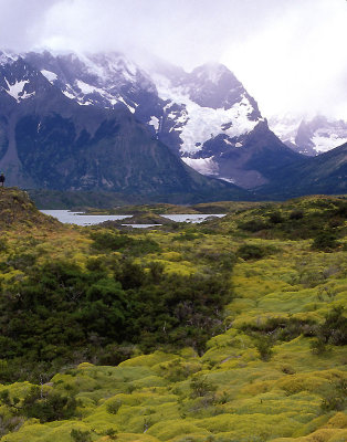 Chilean Patagonia PN Torres del Paine