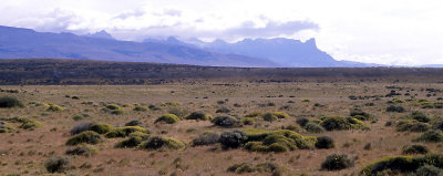Chile Patagonia semi-arid steppe