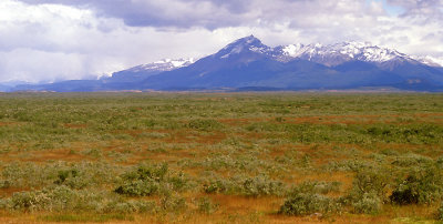 Chile Patagonia shrub steppe