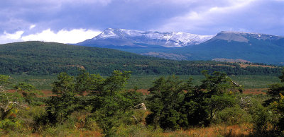 Chile Patagonia steppe-forest transition
