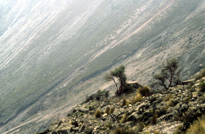 Peru slopes of Volcan Misti