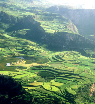 Peru Vallee del Colca