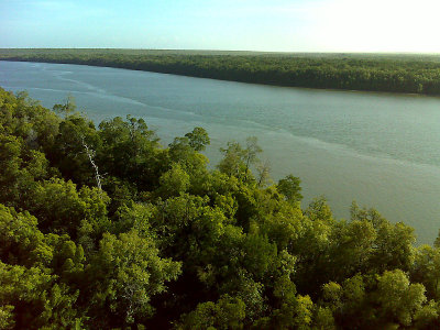  tidal river near Mapoon