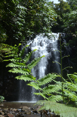 Ellinjaa Falls