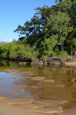 Russell River National Park
