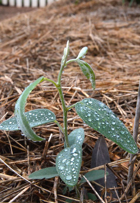 the wet season has arrived