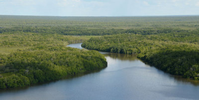 Mission River estuary