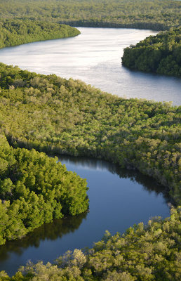 mangrove channels big & small